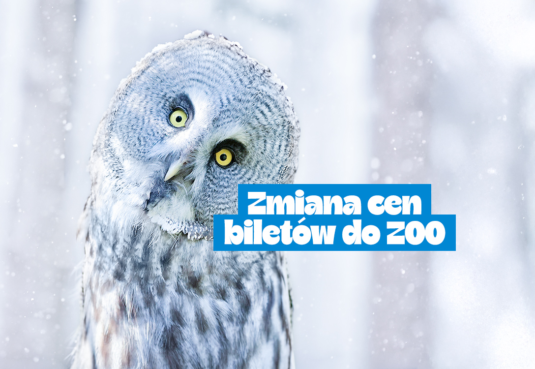 Obiekt Nowy cennik od 1 stycznia 2026 roku