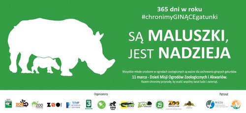 Zielony baner z napisem "są maluszki, jest nadzieja". Po lewej stronie biały kształt samicy nosorożca z młodym. Na dole logotypy ogrodó zoologicznych biorących udział w akcji.