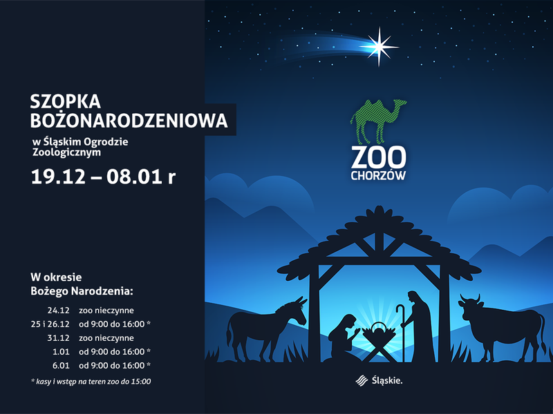 post_szopka3.png