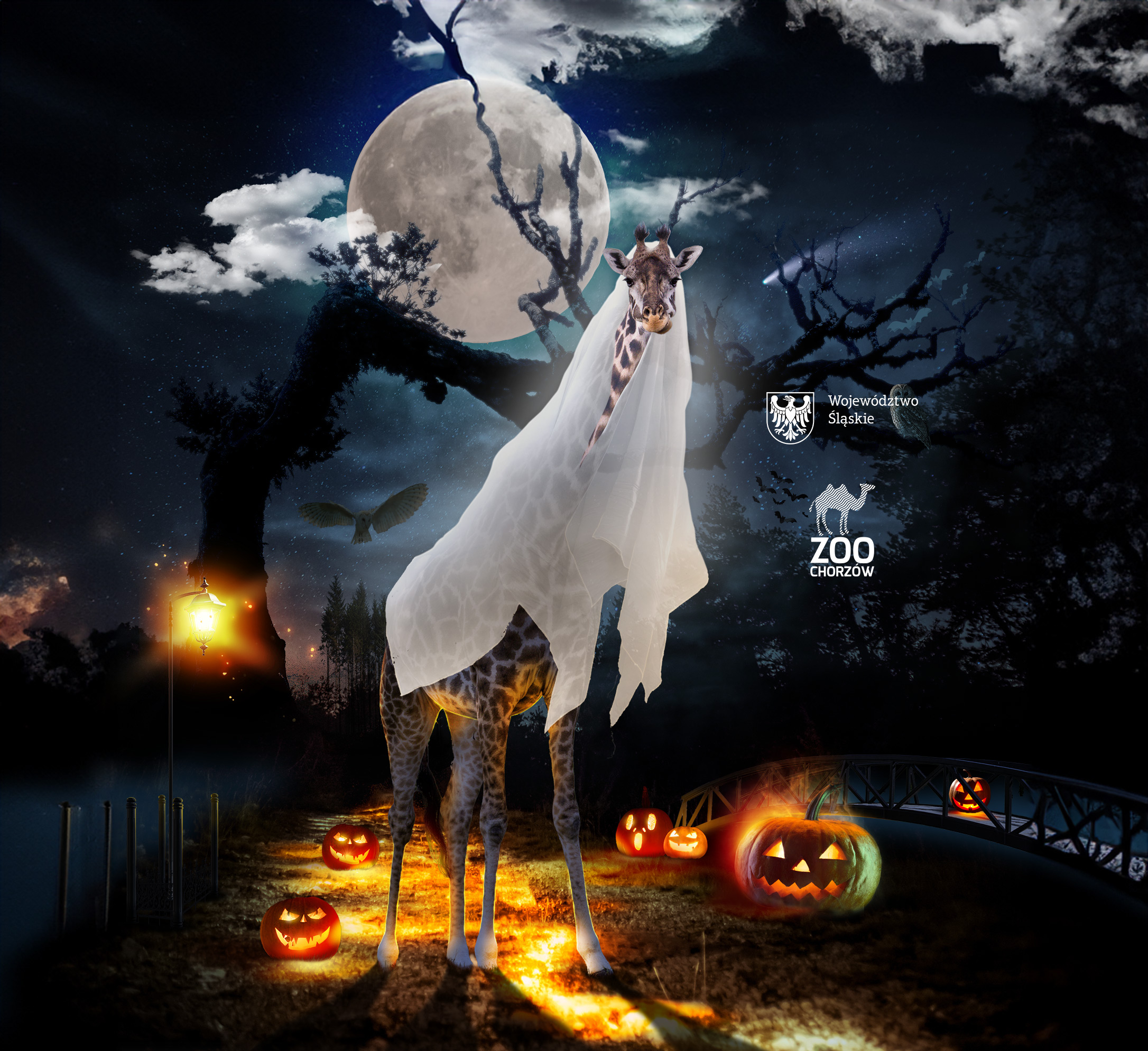 Obiekt Halloween w Śląskim ZOO – niezapomniana przygoda czeka na Ciebie!