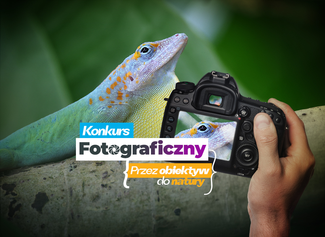 Obiekt Znamy laureatów konkursu fotograficznego „Przez Obiektyw do Natury”