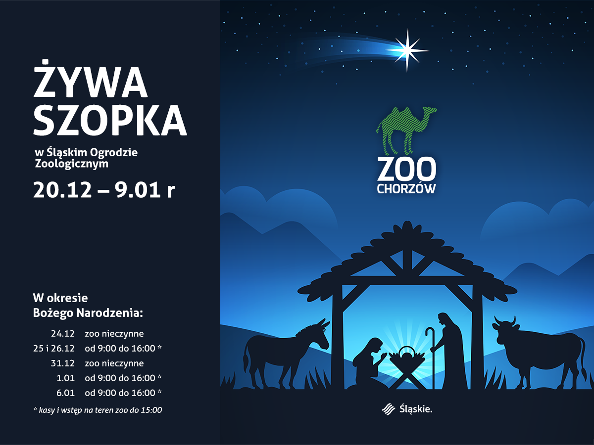 Obiekt Zoo zaprasza w Boże Narodzenie