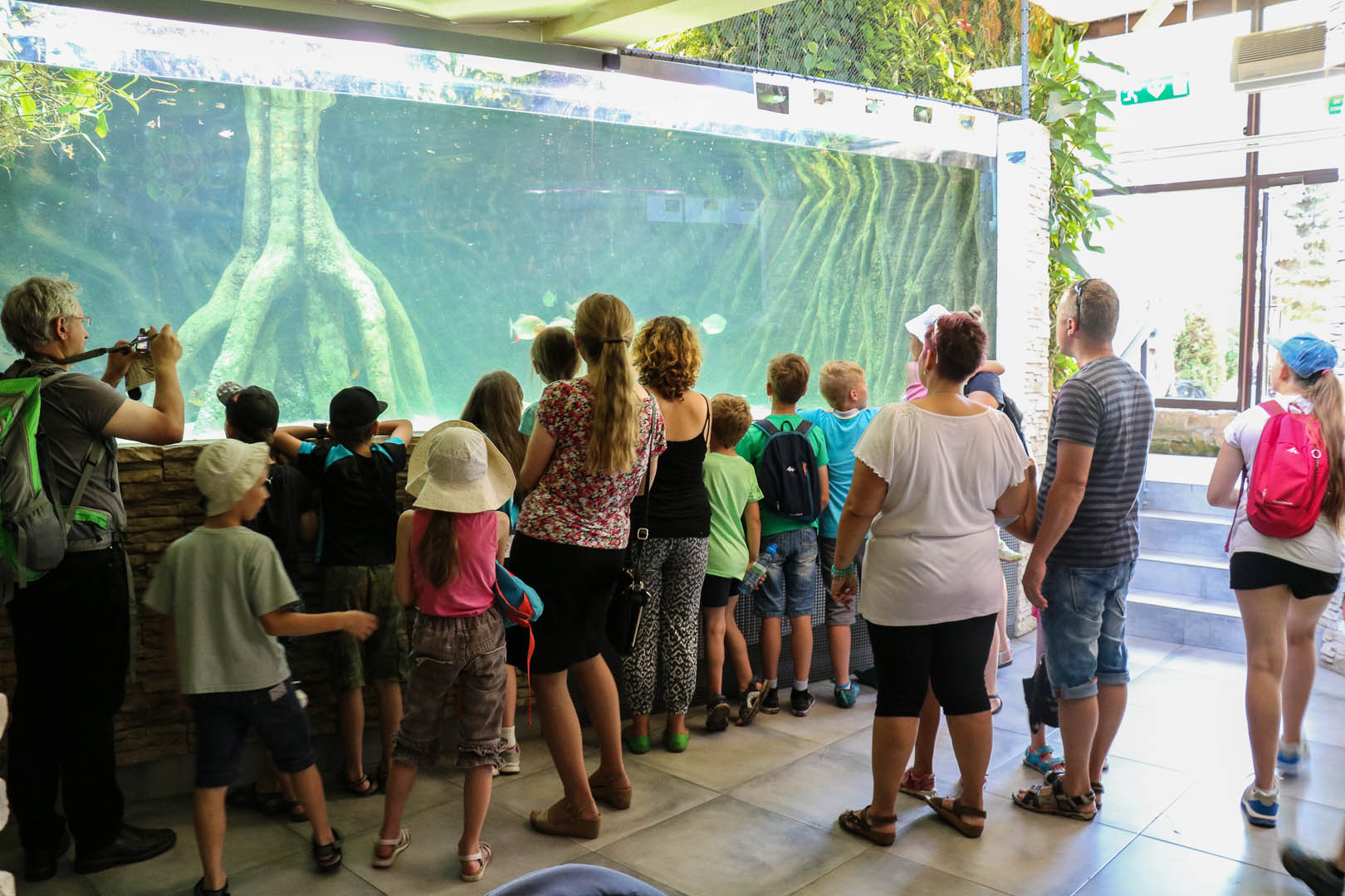 Obiekt Zwiedzanie zoo z przewodnikiem